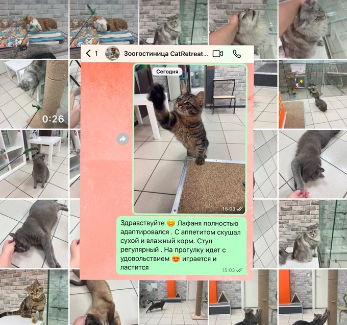 Ежедневные отчеты
в Telegram/Max