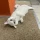 2d25ca24-01c5-4300-87fd-33240e7c434f-xxxl(27).webp